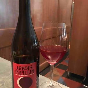 Arbois-Pupillin "Ploussard" - Domaine Renaud Bruyère & Adeline Houillon - renaud-bruyere-adeline-houillon
