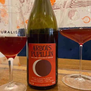 Arbois-Pupillin "Ploussard" - Domaine Renaud Bruyère & Adeline Houillon - Renaud Bruyère & Adeline Houillon 