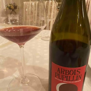 Arbois-Pupillin "Ploussard" - Domaine Renaud Bruyère & Adeline Houillon - renaud-bruyere-adeline-houillon