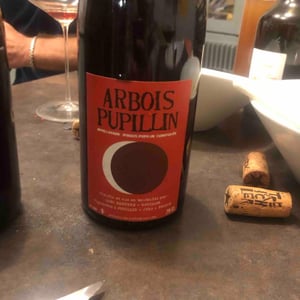 Arbois-Pupillin "Ploussard" - Domaine Renaud Bruyère & Adeline Houillon - Renaud Bruyère & Adeline Houillon 