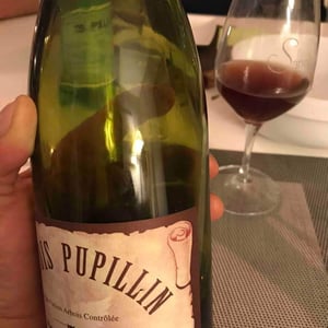 Maison Pierre Overnoy - Emmanuel Houillon & Pierre Overnoy - Arbois-Pupillin - Ploussard