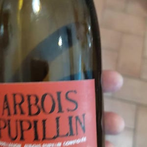 Arbois-Pupillin - Ploussard - Maison Pierre Overnoy - emmanuel-houillon-pierre-overnoy