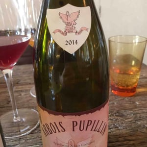 Arbois-Pupillin - Ploussard - Maison Pierre Overnoy - Emmanuel Houillon & Pierre Overnoy 