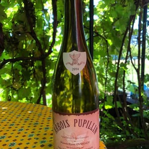Maison Pierre Overnoy - Emmanuel Houillon & Pierre Overnoy - Arbois-Pupillin - Ploussard