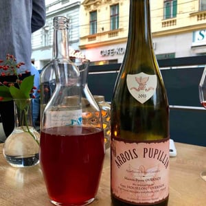 Arbois-Pupillin - Ploussard - Maison Pierre Overnoy - emmanuel-houillon-pierre-overnoy