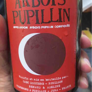 Maison Pierre Overnoy - Emmanuel Houillon & Pierre Overnoy - Arbois-Pupillin - Ploussard