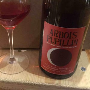 Arbois-Pupillin "Ploussard - En Aspis" - Domaine Renaud Bruyère & Adeline Houillon - renaud-bruyere-adeline-houillon