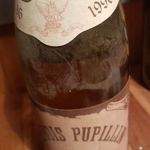 Savagnin Ouillé (750 ml) 1996