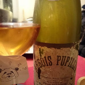 Maison Pierre Overnoy - Emmanuel Houillon & Pierre Overnoy - Arbois-Pupillin - "Vieux Savagnin Ouillé" - VSO - (500ml)