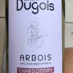 Arbois Terre De Marne - Domaine Daniel Dugois - philippe-et-melanie-dugois -2020