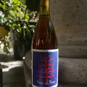 Árbol de Fuego - Vinos Pijoan - silvana-pijoan