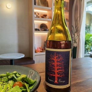 Árbol de Fuego - Vinos Pijoan - Silvana Pijoan 