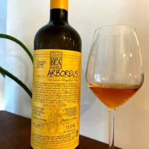 Arboreus - Antica Azienda Agricola Paolo Bea - giampiero-bea