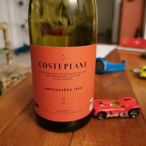 Arboussede 1850 - Domaine Costeplane - francoise-vincent-coste