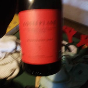 Arboussede 1850 - Domaine Costeplane - francoise-vincent-coste