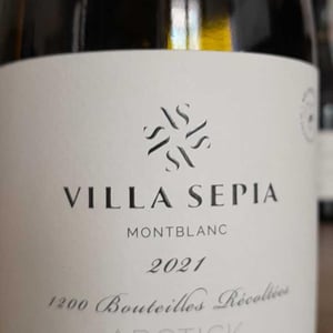 Arctick - Villa Sépia - catherine-frederic-albert -2021