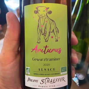 Arcturus - Philippe Schaeffer - philippe-schaeffer -2020