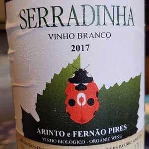 Arinto e Fernão Pires 2017