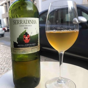Arinto e Fernão Pires - Quinta da Serradinha - antonio-marques-da-cruz
