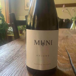 Arione - Muni Di Daniele Piccinin - Daniele Piccinin 