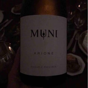 Arione - Muni Di Daniele Piccinin - Daniele Piccinin 