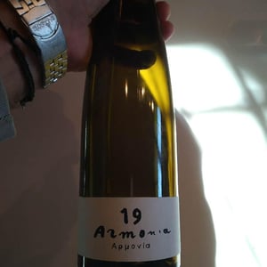 Azienda Agricola Valdisole - Giuseppe Amato - Armonia