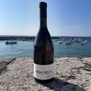 Armorica Gabbro - La Sénéchalière - ryosuke-furuya-ex-marc-pesnot -2021