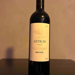 Artigas - Bodegas Mas Alta - Damià del Castillo 