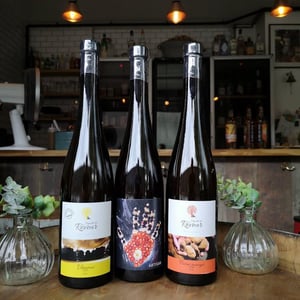 Artisan - Vignoble du Rêveur - mathieu-deiss-emmanuelle-milan