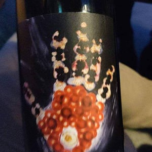 Vignoble du Rêveur - Mathieu Deiss & Emmanuelle Milan - Artisan
