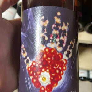 Artisan - Vignoble du Rêveur - mathieu-deiss-emmanuelle-milan