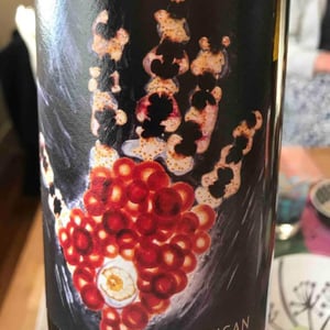Vignoble du Rêveur - Mathieu Deiss & Emmanuelle Milan - Artisan