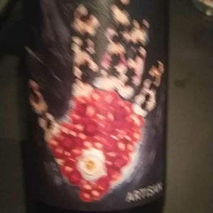 Vignoble du Rêveur - Mathieu Deiss & Emmanuelle Milan - Artisan