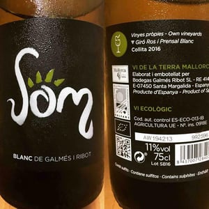 Som - Vins Galmés i Ribot - vins-galmes-i-ribot