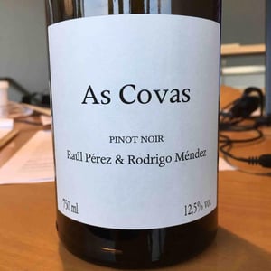 As Covas Pinot Noir - Bodegas y Viñedos Rodrigo Méndez/Bodegas Forjas del Salné - Rodrigo Méndez 