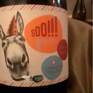 Soo!!! free - Carlania Celler - Jordi Miró and Sònia Gomà-Camps 