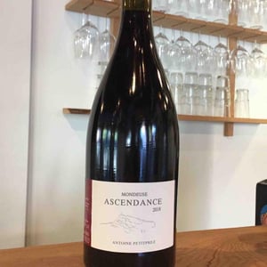 Ascendance - Uliz - antoine-petitprez -2018
