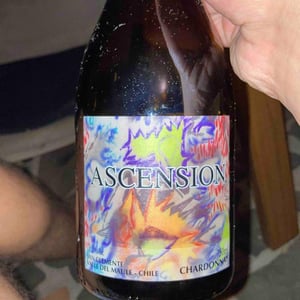 Ascension - Vale Del Maule - maturana-wines -2021