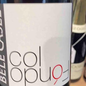 Asolo Prosecco - Bele Casel - luca-ferraro