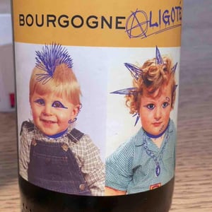 Bourgogne Aligoté - Domaine Robert-Denogent - Jean-Jacques, Antoine & Nicolas Robert -2020