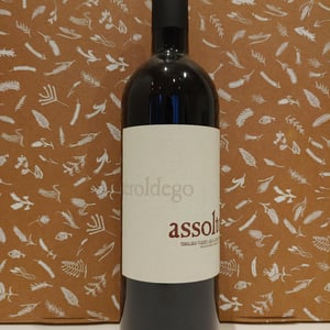 Assolto - Redondel - paolo-zanini