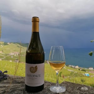 Assyrtiko - Patoinos, Terre de l'Apocalypse - Josef Zisyadis 