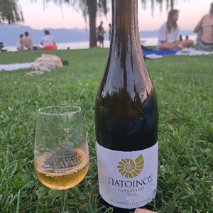 Assyrtiko - Patoinos, Terre de l'Apocalypse - Josef Zisyadis 