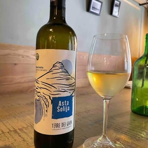 Asta Solija - Agricola Polesana - Terre dei Gaia - Claudio Polesana -2020