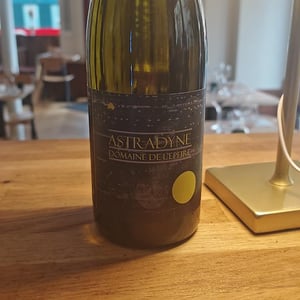 Astradyne - Domaine de l'Epeire - Philippe Petit 