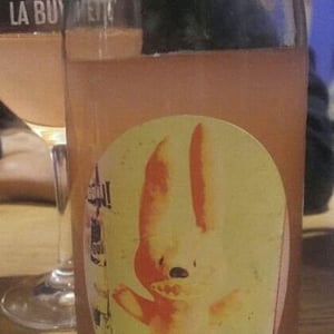 Wildman Wine - Tim Wildman - Astro Bunny