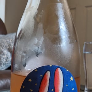 Astro Bunny - Wildman Wine - tim-wildman