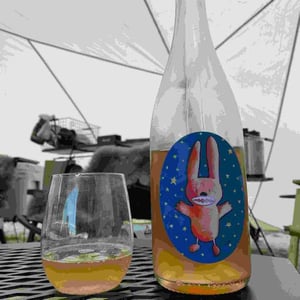 Astro Bunny - Wildman Wine - Tim Wildman 