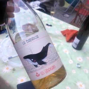 La Babascat - Domaine Les Abrigans - Laura Lees & Arthur Joly 