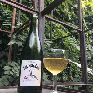 Les Vignes de Babass - Sebastien Dervieux - La Navine